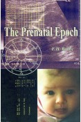 The Prenatal Epoch
